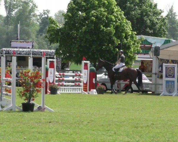 Reitturnier Wilkenburg 2024