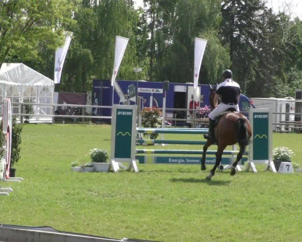 Reitturnier Wilkenburg 2024