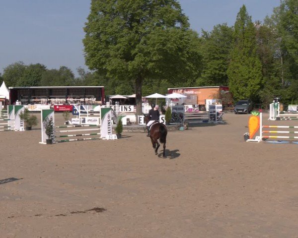 Reitturnier Hellefeld 2024