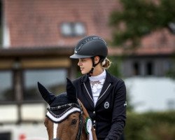 dressage horse Donnington 2 (Oldenburg, 2005, from Don Laurie 143 FIN)