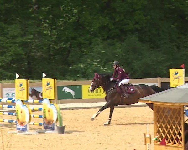 Reitturnier Tiefenhof/Opf. 2024