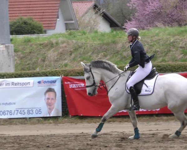 Reitturnier Sachendorf 2022