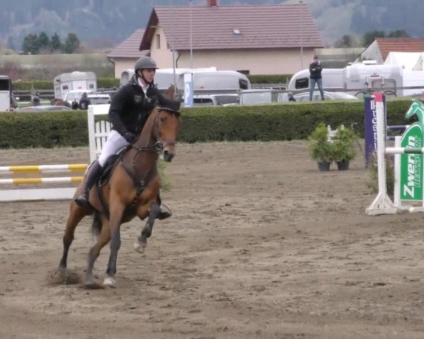Reitturnier Sachendorf 2022
