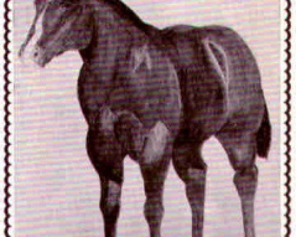 Deckhengst Cody's Tony (Quarter Horse, 1952, von Bill Cody)