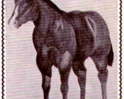 stallion Cody's Tony (Quarter Horse, 1952, from Bill Cody)