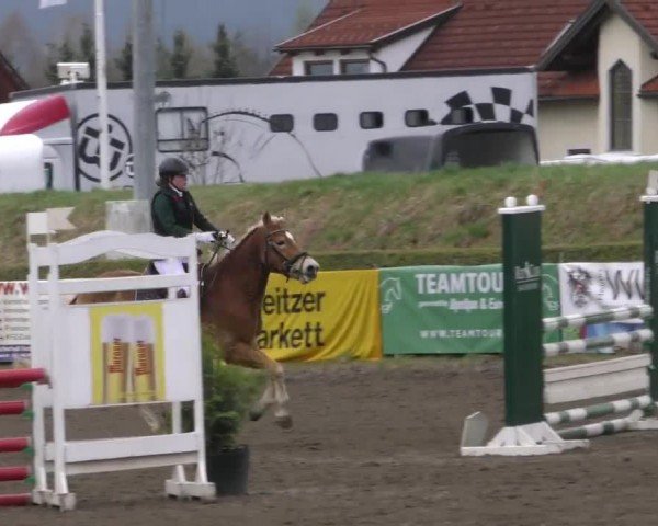 Reitturnier Sachendorf 2022