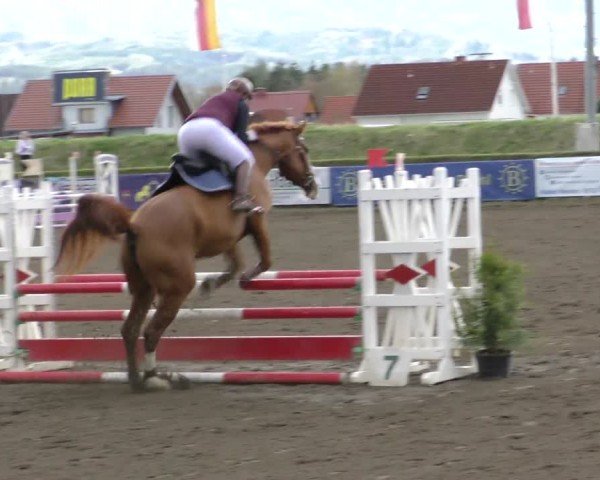Reitturnier Sachendorf 2022