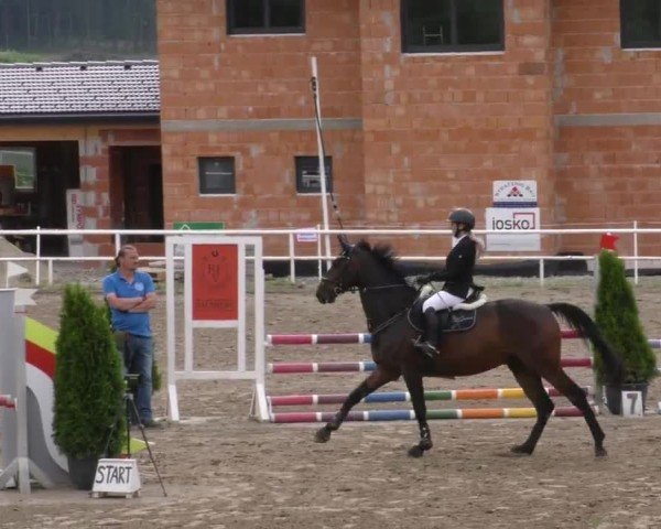 Reitturnier Dachberg 2022