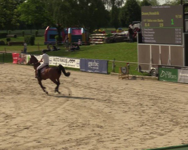 Reitturnier Hamm-Rhynern 2024