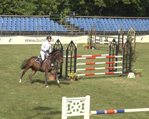 Reitturnier Scharnebeck 2024