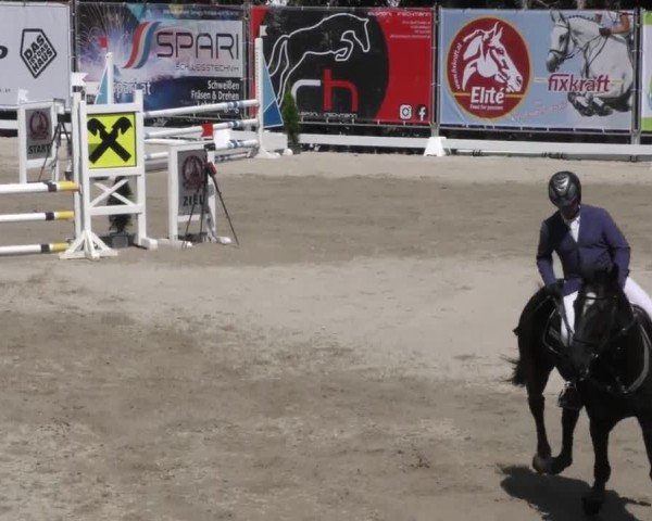 Reitturnier Preding 2022
