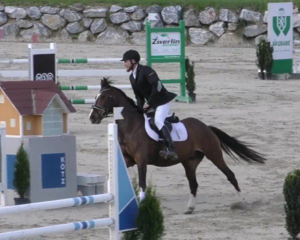 Reitturnier Preding 2022