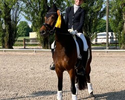 dressage horse Dipladenia JSO (German Riding Pony, 2021, from Dallmayr K)