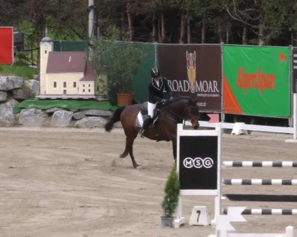 Reitturnier Preding 2022