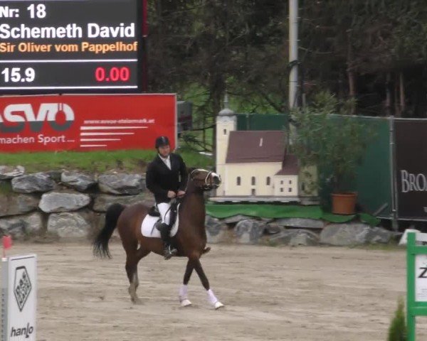 Reitturnier Preding 2022