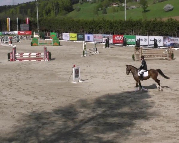 Reitturnier Preding 2022