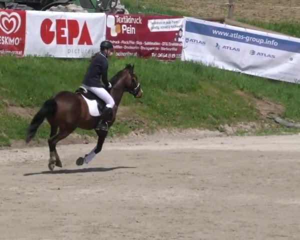 Reitturnier Preding 2022