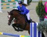 jumper Castaway R (Romanian Warmblood, 2002)