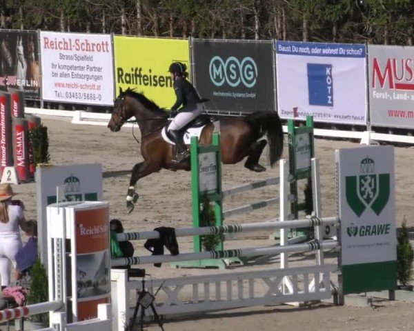 Reitturnier Preding 2022