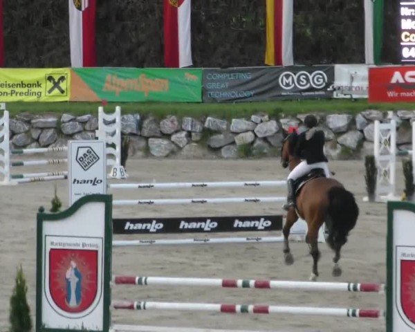 Reitturnier Preding 2022