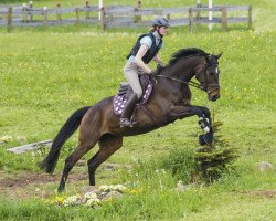 broodmare Herzflimmern (Trakehner, 2011, from Favoritas xx)