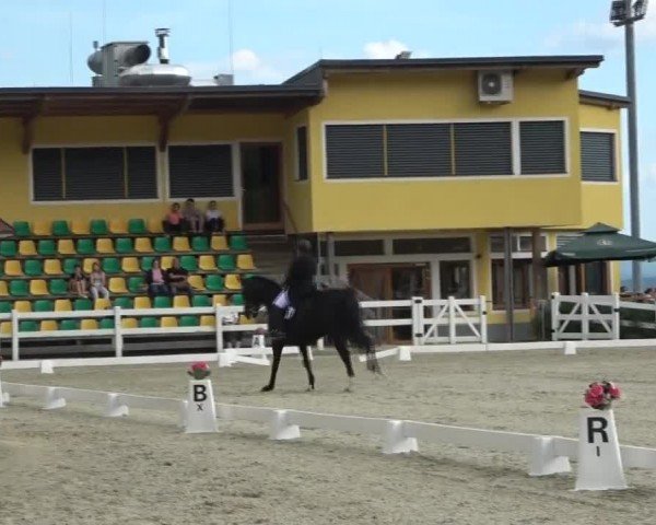 Reitturnier St. Margarethen 2024