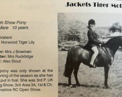 Zuchtstute Jackets Tiger Moth (British Riding Pony, 1989, von Valiant)