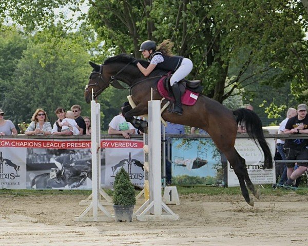 broodmare Inschuschuna I (Holsteiner, 2016, from Pikeur Lord Fauntleroy)