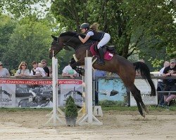 Zuchtstute Inschuschuna I (Holsteiner, 2016, von Pikeur Lord Fauntleroy)