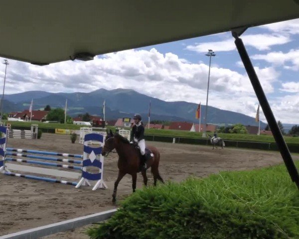 Reitturnier Sachendorf 2022