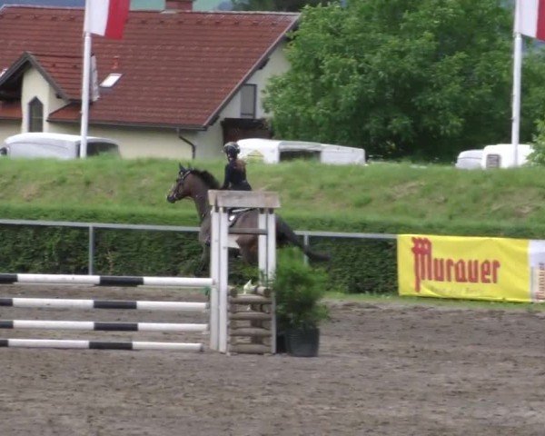 Reitturnier Sachendorf 2022
