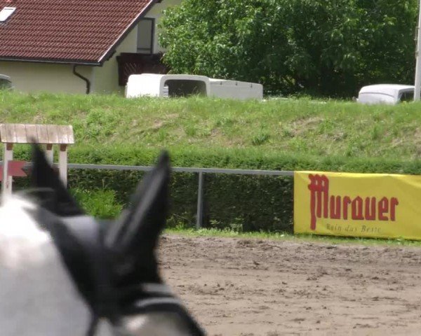 Reitturnier Sachendorf 2022