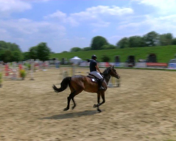 Reitturnier Dorsten 2024