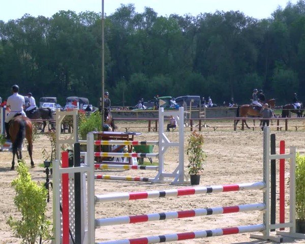Reitturnier Dorsten 2024
