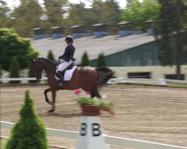 Reitturnier Teupitz 2024