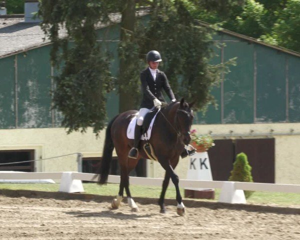 Reitturnier Teupitz 2024