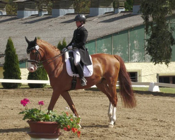 Reitturnier Teupitz 2024
