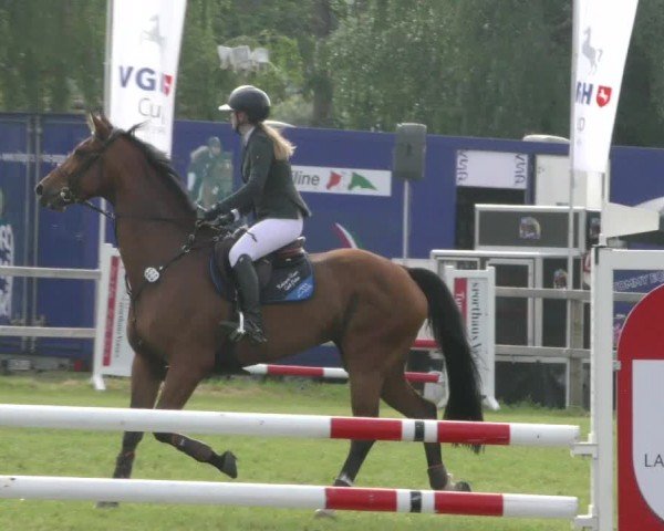 Reitturnier Wilkenburg 2024
