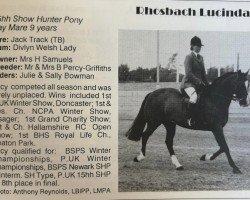 Pferd Rhosbach Lucinda (Welsh Partbred, 1981, von Jack Track xx)