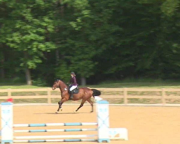 Reitturnier Tiefenhof/Opf. 2024