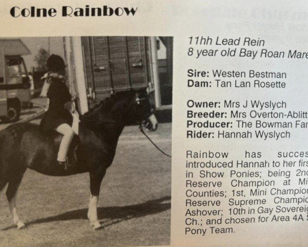 Zuchtstute Colne Rainbow (Welsh Mountain Pony (Sek.A), 1982, von Weston Best Man)