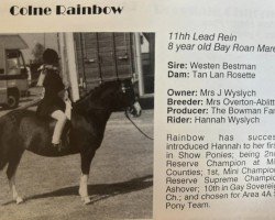 broodmare Colne Rainbow (Welsh mountain pony (SEK.A), 1982, from Weston Best Man)