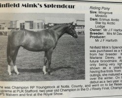 horse Ninfield Minks Splendour (British Riding Pony, 1988, from Wingrove Minkino)