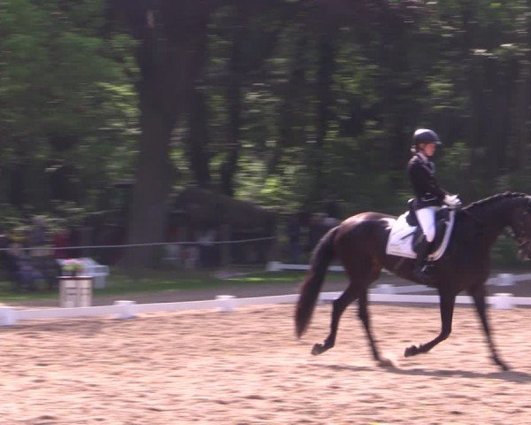 Reitturnier Helmsdorf 2024