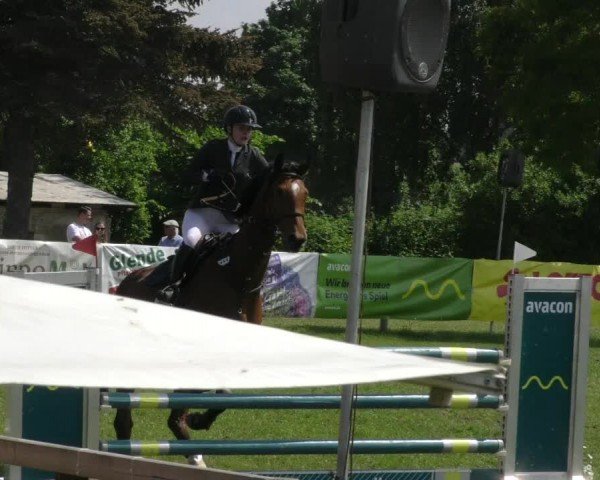 Reitturnier Wilkenburg 2024
