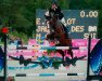 jumper Jalisco des Baumes CH (Swiss Warmblood, 2002, from Wandango)