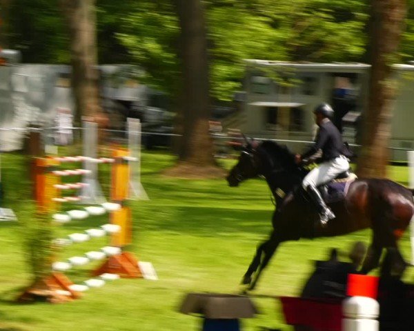 Reitturnier Helmsdorf 2024