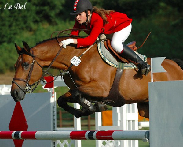 jumper Irish Boy du City Horse (Belgian Riding Pony, 1992)