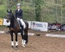 dressage horse Docelli 3 (German Riding Pony, 2010, from Dance Star AT)