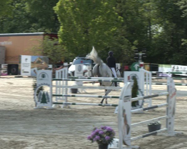 Reitturnier Hellefeld 2024